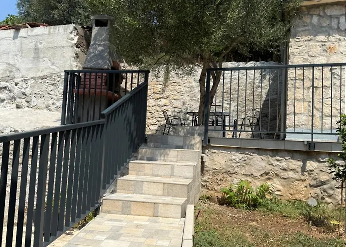 Vidovic -lara * トゥルパニ