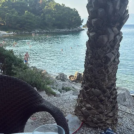 Vidovic -lara Vikendica *